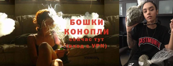 индика Навашино