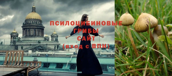 индика Навашино